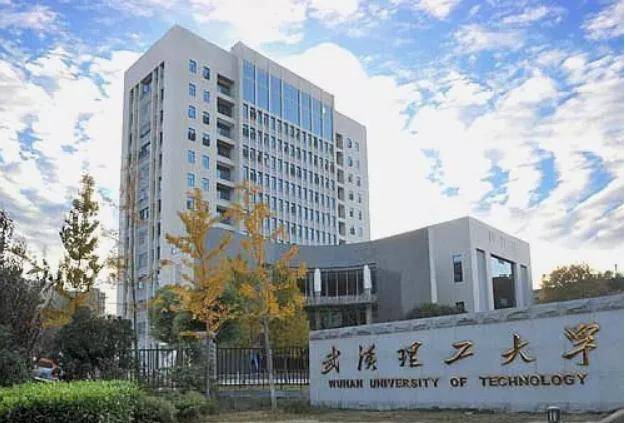 武汉理工大学最新事件深度解析与探讨