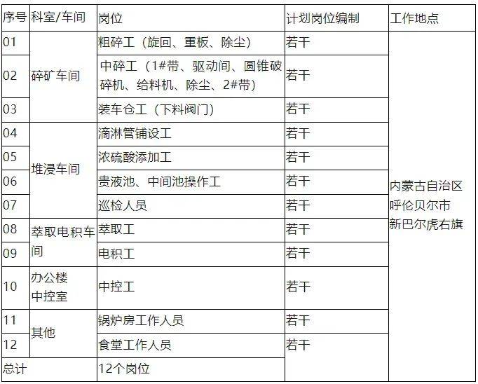 内蒙古矿业兴安能源最新招聘启事，探寻职业新机遇