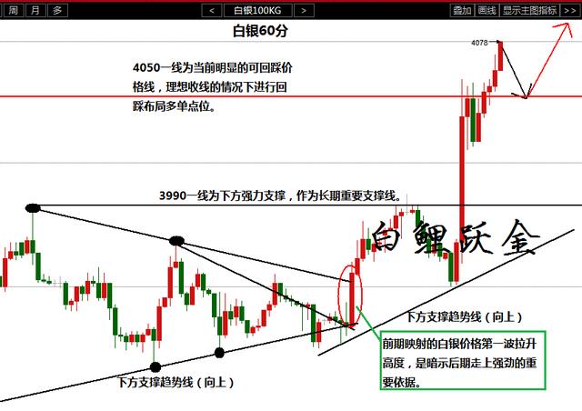 新奥最快最准免费资料,广泛的关注解释落实热议_静态版85.741