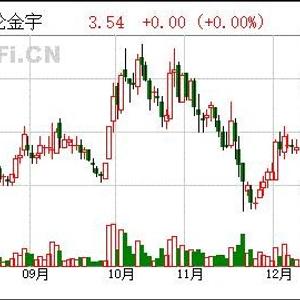 赛轮金宇最新十大股东一览表概况