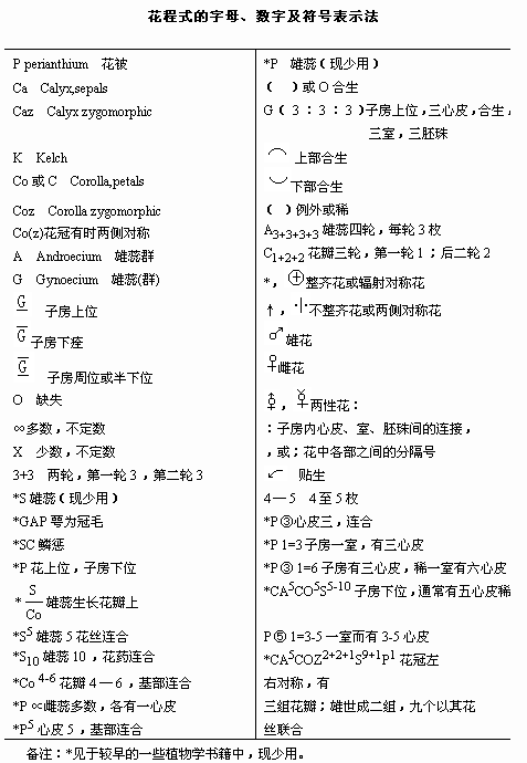 白小姐四肖四码100%准,定量分析解释定义_PT26.566