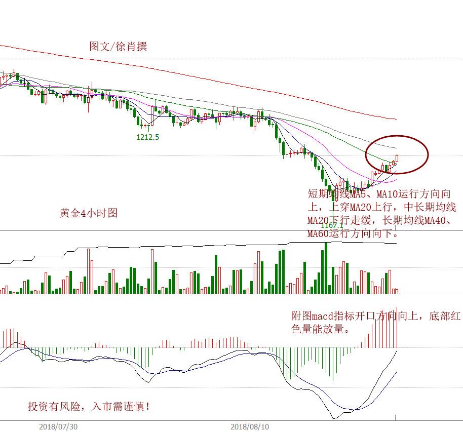 香港最准的100%肖一肖中特,数据执行驱动决策_Gold69.651