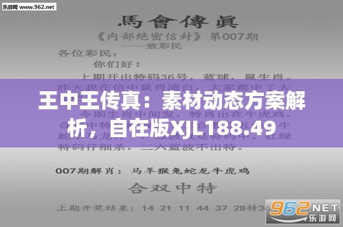 7777788888王中王中特,涵盖广泛的解析方法_豪华款29.51