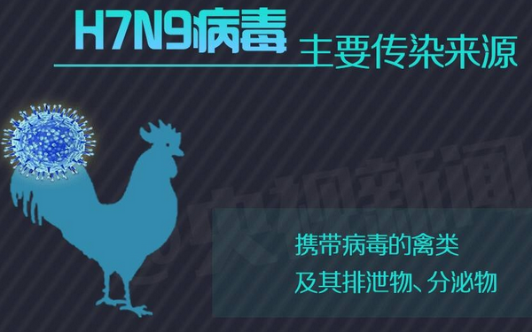 浙江H7N9最新消息，2017年更新报告