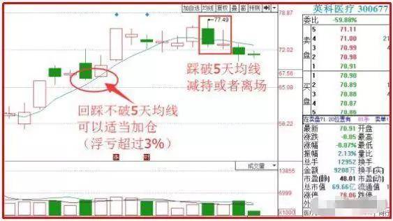 澳门天天开彩期期精准,数据驱动计划解析_标准版25.787