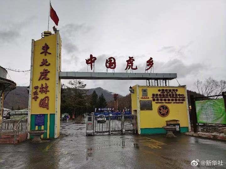 黑龙江赴京最新隔离政策解读，最新消息下的隔离与否揭秘