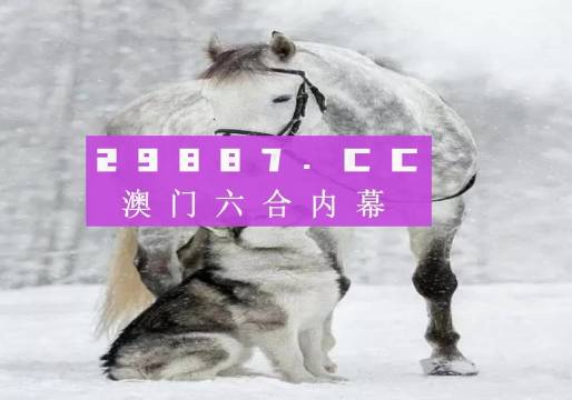 7777788888新版跑狗,迅捷解答策略解析_vShop93.652