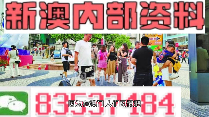 2024新澳最精准资料大全,专家解析说明_领航版49.900