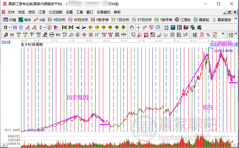 2004新奥精准资料免费提供,动态分析解释定义_Galaxy66.636