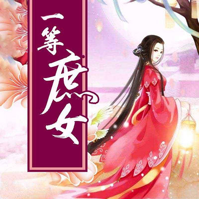 一等宫女，历史尘埃中的女性辉煌与故事揭秘