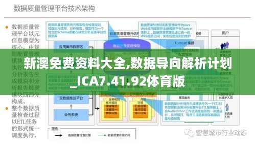 2024新奥精准正版资料,数据导向设计解析_R版48.846